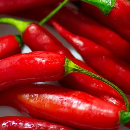 Screenshot of Moroccan Chilli